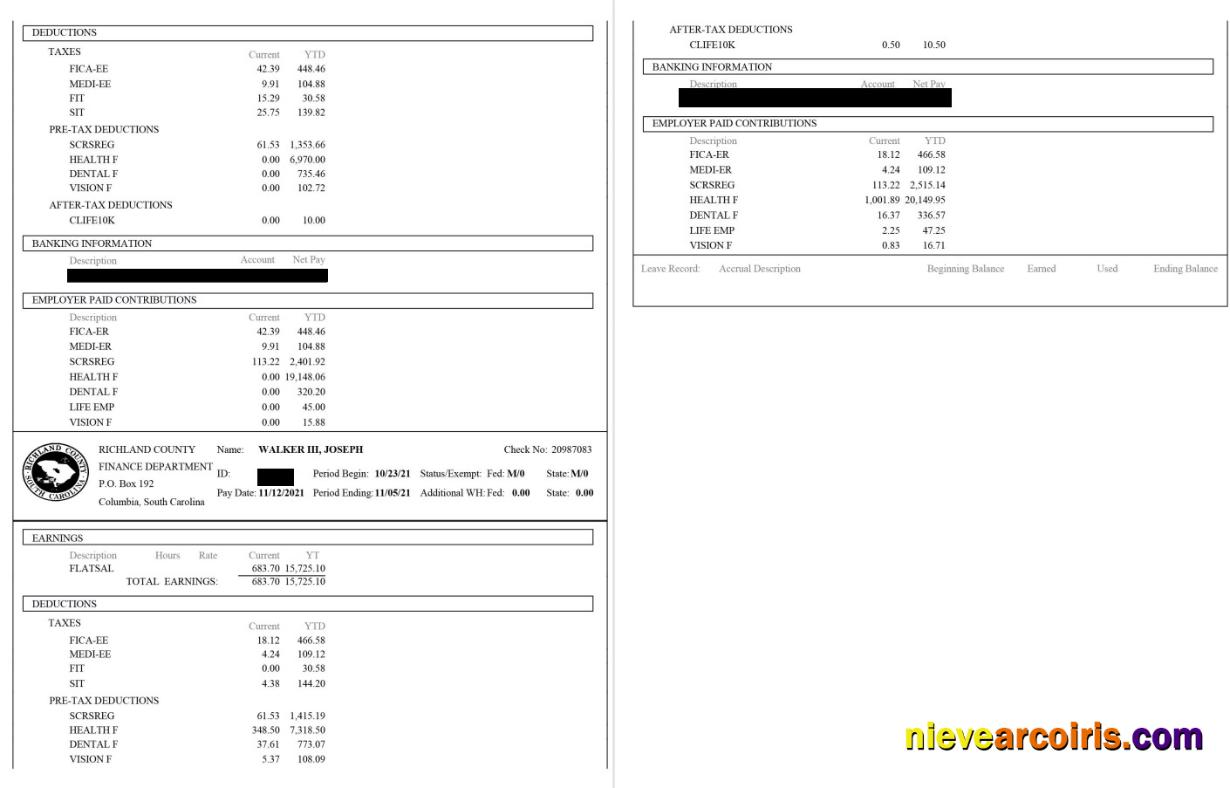Richland County Paystub